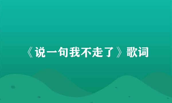 《说一句我不走了》歌词