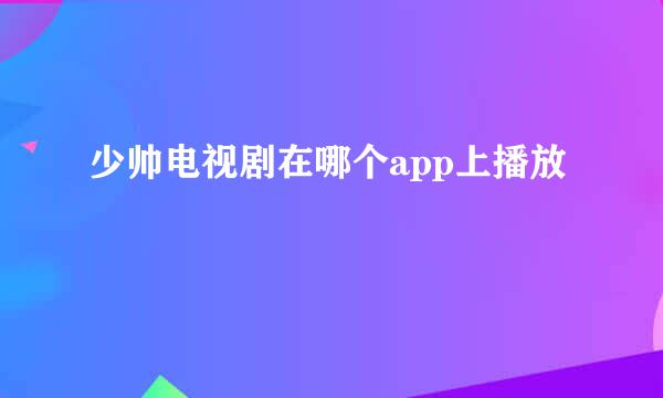 少帅电视剧在哪个app上播放