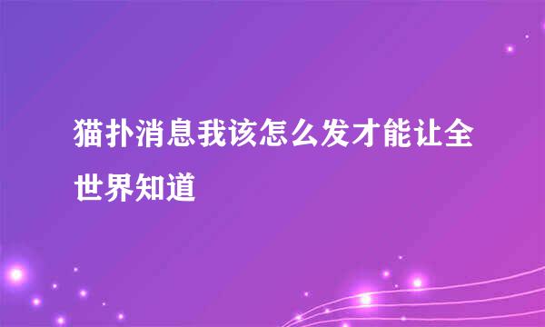 猫扑消息我该怎么发才能让全世界知道