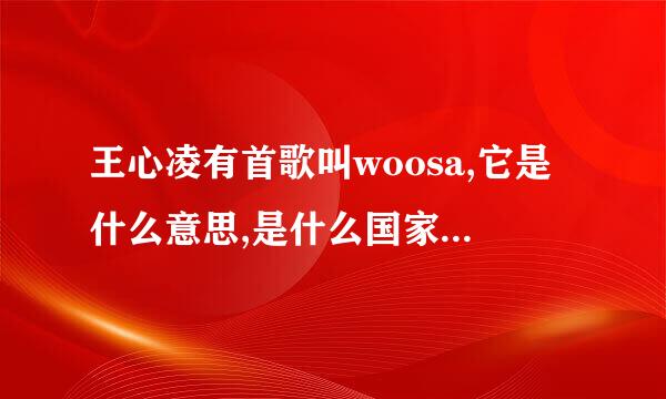 王心凌有首歌叫woosa,它是什么意思,是什么国家语言的单词