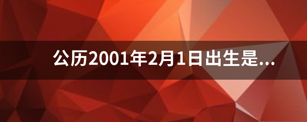 公历2001年2月1日出生是什么星座?