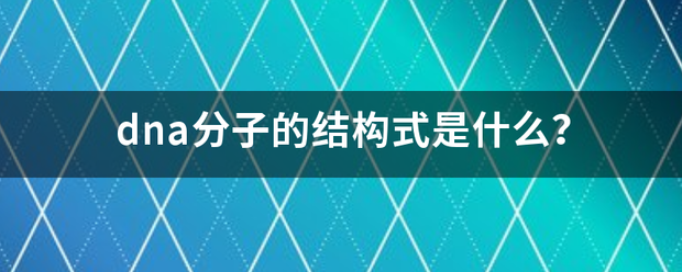 dna分子的结构式是什么？