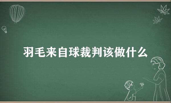 羽毛来自球裁判该做什么