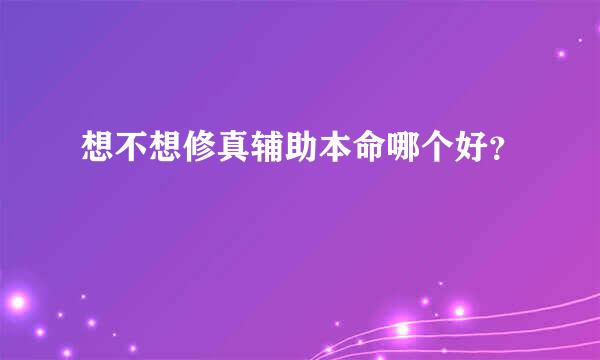 想不想修真辅助本命哪个好？