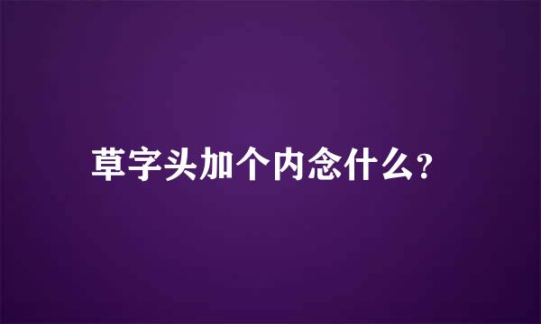 草字头加个内念什么？