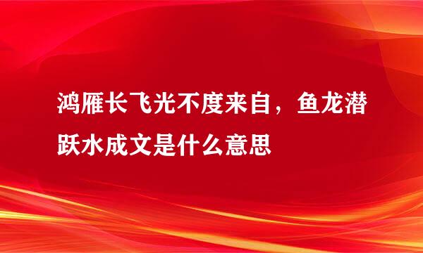 鸿雁长飞光不度来自，鱼龙潜跃水成文是什么意思