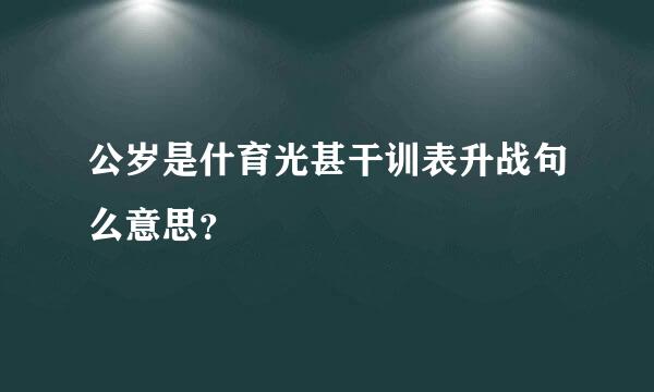 公岁是什育光甚干训表升战句么意思？