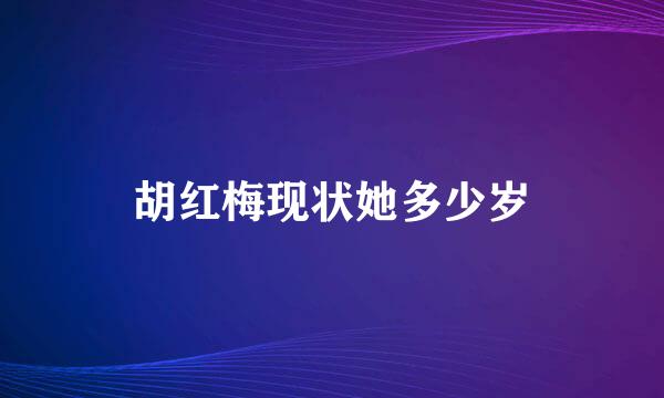 胡红梅现状她多少岁