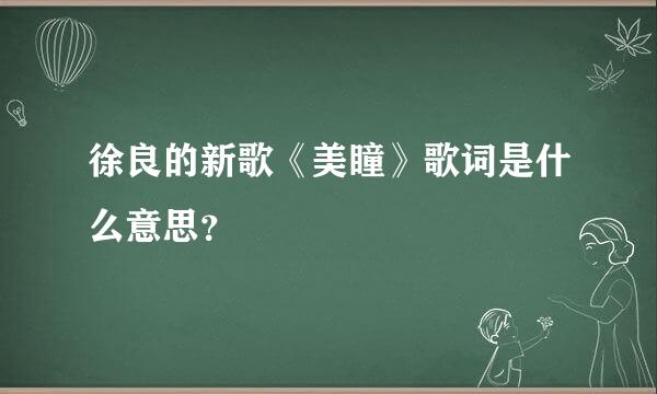 徐良的新歌《美瞳》歌词是什么意思？