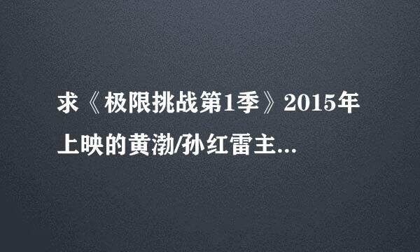 求《极限挑战第1季》2015年上映的黄渤/孙红雷主演的中国真人秀节目免费的百度云链接