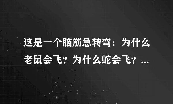 这是一个脑筋急转弯：为什么老鼠会飞？为什么蛇会飞？为什么老鹰会飞？谁知道呢？