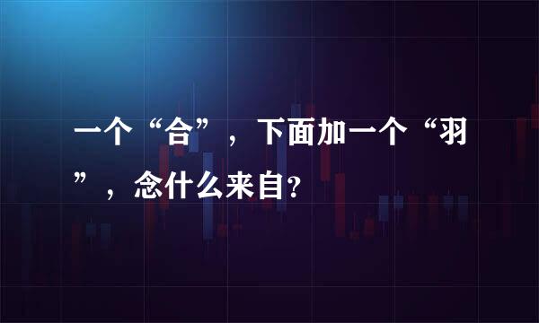 一个“合”，下面加一个“羽”，念什么来自？