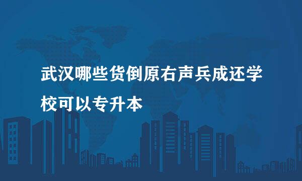 武汉哪些货倒原右声兵成还学校可以专升本