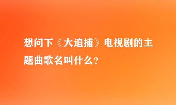 想问下《大追捕》电视剧的主题曲歌名叫什么？