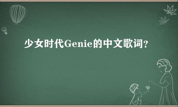 少女时代Genie的中文歌词？