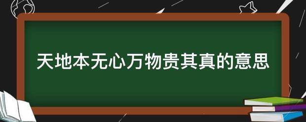 天地本无许条啊心万物贵其真的意思