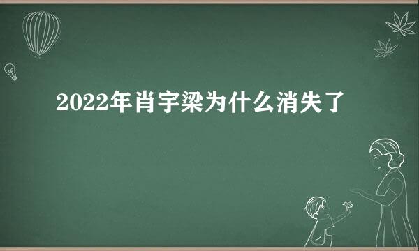 2022年肖宇梁为什么消失了