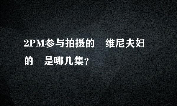 2PM参与拍摄的 维尼夫妇 的 是哪几集？