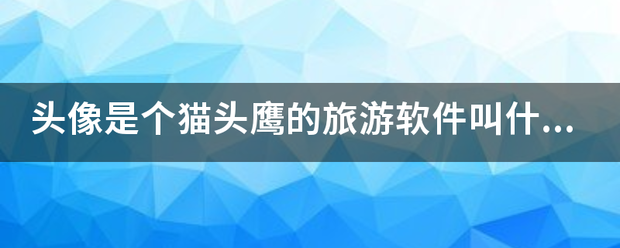 头像是个猫头鹰的旅游软件叫什么？