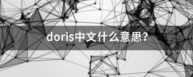 doris中文什么意思？