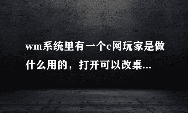 wm系统里有一个c网玩家是做什么用的，打开可以改桌面，但是不能开机启动？