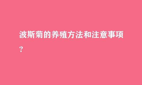 波斯菊的养殖方法和注意事项？