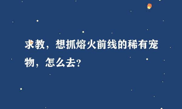 求教，想抓熔火前线的稀有宠物，怎么去？