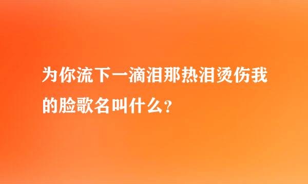 为你流下一滴泪那热泪烫伤我的脸歌名叫什么？