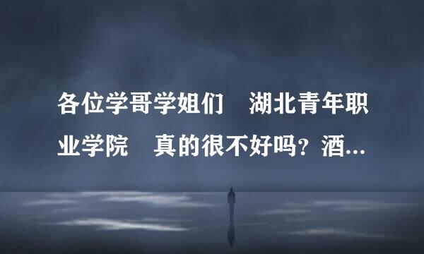 各位学哥学姐们 湖北青年职业学院 真的很不好吗？酒店管理这个专业怎么样呢？