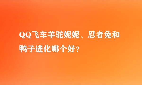 QQ飞车羊驼妮妮、忍者兔和鸭子进化哪个好？