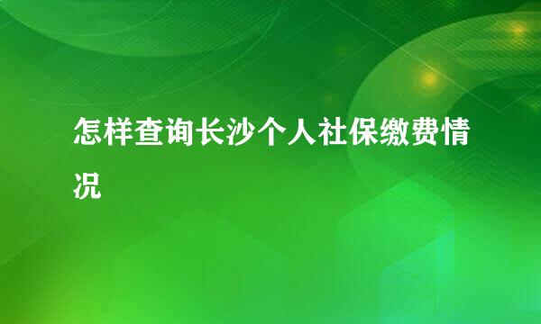 怎样查询长沙个人社保缴费情况