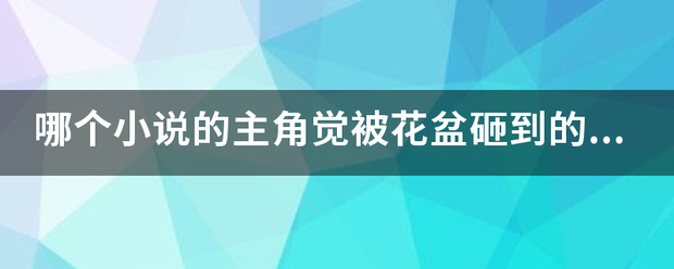 哪个小说的主角觉被花盆砸到的然后身体有两个什么王的