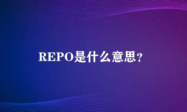 REPO是什么意思？