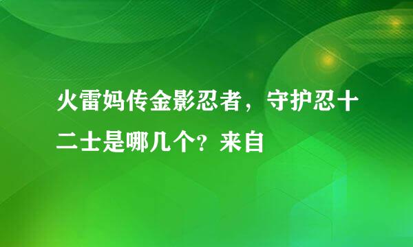 火雷妈传金影忍者，守护忍十二士是哪几个？来自