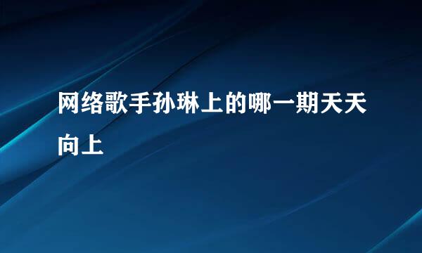 网络歌手孙琳上的哪一期天天向上