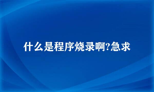 什么是程序烧录啊?急求