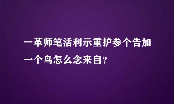 一革师笔活利示重护参个告加一个鸟怎么念来自？