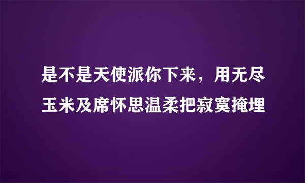 是不是天使派你下来，用无尽玉米及席怀思温柔把寂寞掩埋