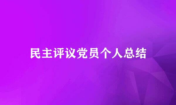 民主评议党员个人总结