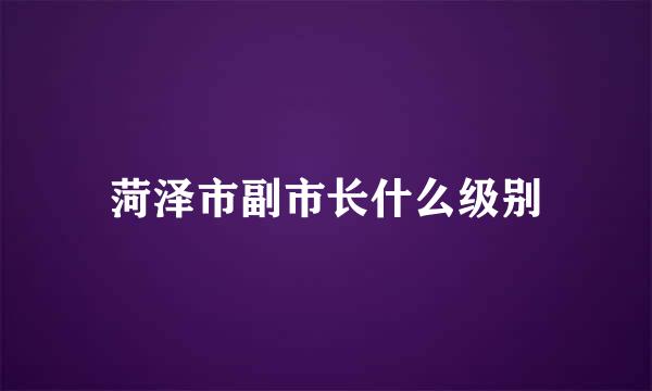 菏泽市副市长什么级别