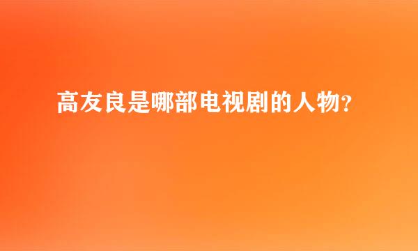 高友良是哪部电视剧的人物？