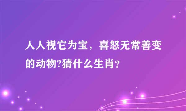 人人视它为宝，喜怒无常善变的动物?猜什么生肖？