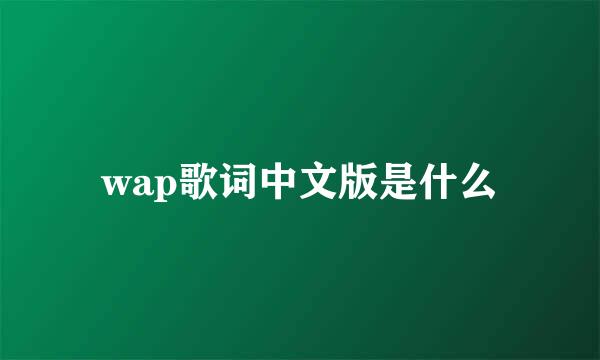 wap歌词中文版是什么