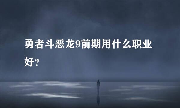 勇者斗恶龙9前期用什么职业好？