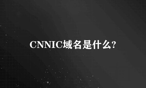 CNNIC域名是什么?