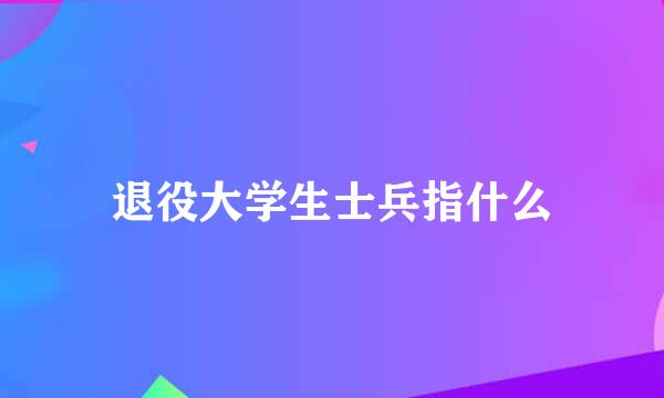 退役大学生士兵指什么