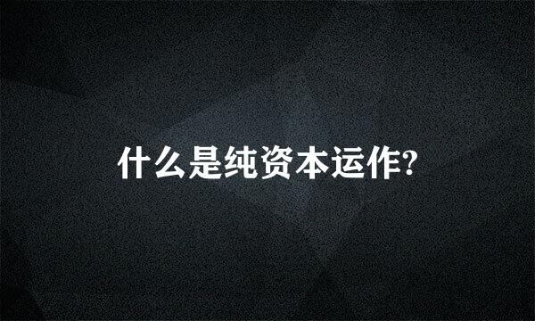 什么是纯资本运作?