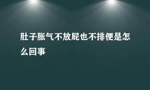 肚子胀气不放屁也不排便是怎么回事