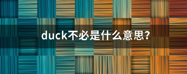 duck不必是什么意思？