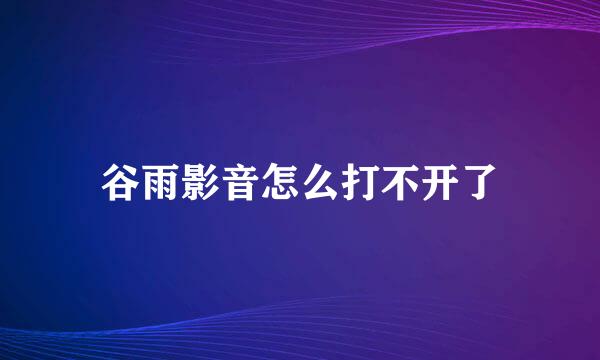 谷雨影音怎么打不开了